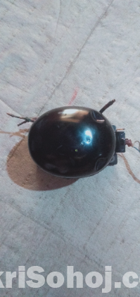 কম্প্রেসার